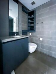 Skysuites@Anson (D2), Apartment #488782761